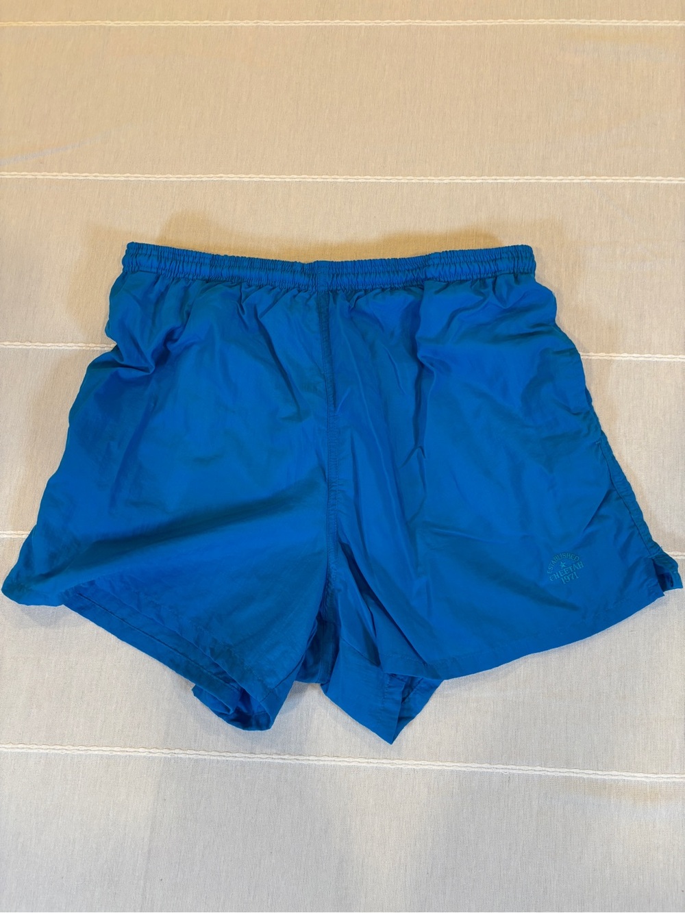 Vintage CheetaH Sport Blue Nylon Swim Trunks Shorts L Mesh Lined Beach